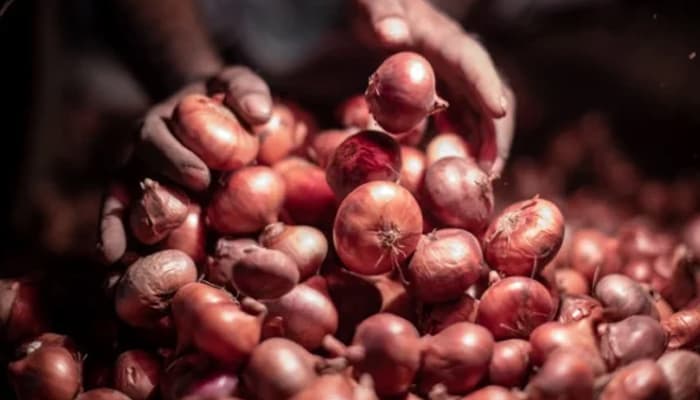 Thumbnail for ভারত থেকে আমদানির ঘোষণায় কেজিতে ৪০ টাকা কমলো পেঁয়াজের দাম