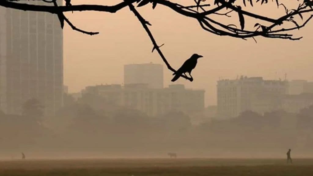 Thumbnail for ঢাকায় তাপমাত্রা নামলো ১৯ ডিগ্রিতে