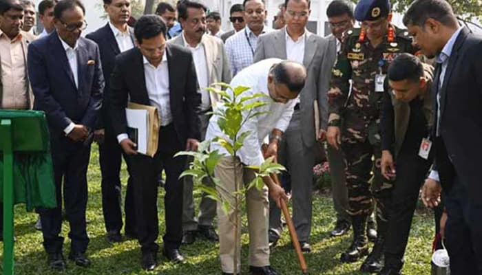 Thumbnail for তেজগাঁও কার্যালয়ে প্রথম দিন বৃক্ষরোপণ করলেন প্রধানমন্ত্রী