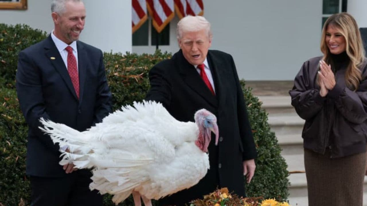 Thumbnail for দুই টার্কি মুরগিকে আনুষ্ঠানিকভাবে 'ক্ষমা' করলেন ট্রাম্প