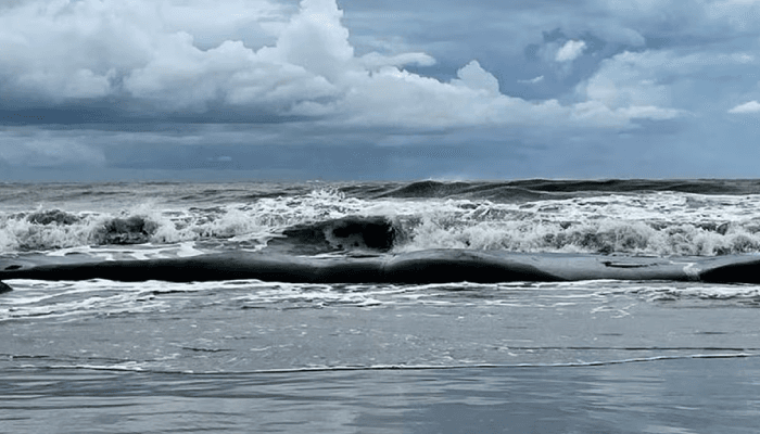 সাগরে আরেকটি লঘুচাপের পূর্বাভাস