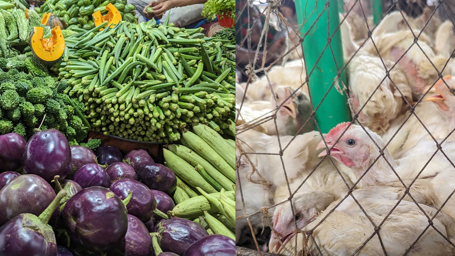 Thumbnail for রাজধানীর বাজার অস্থির: সবজি ও মুরগির দামে চড়া মেজাজ