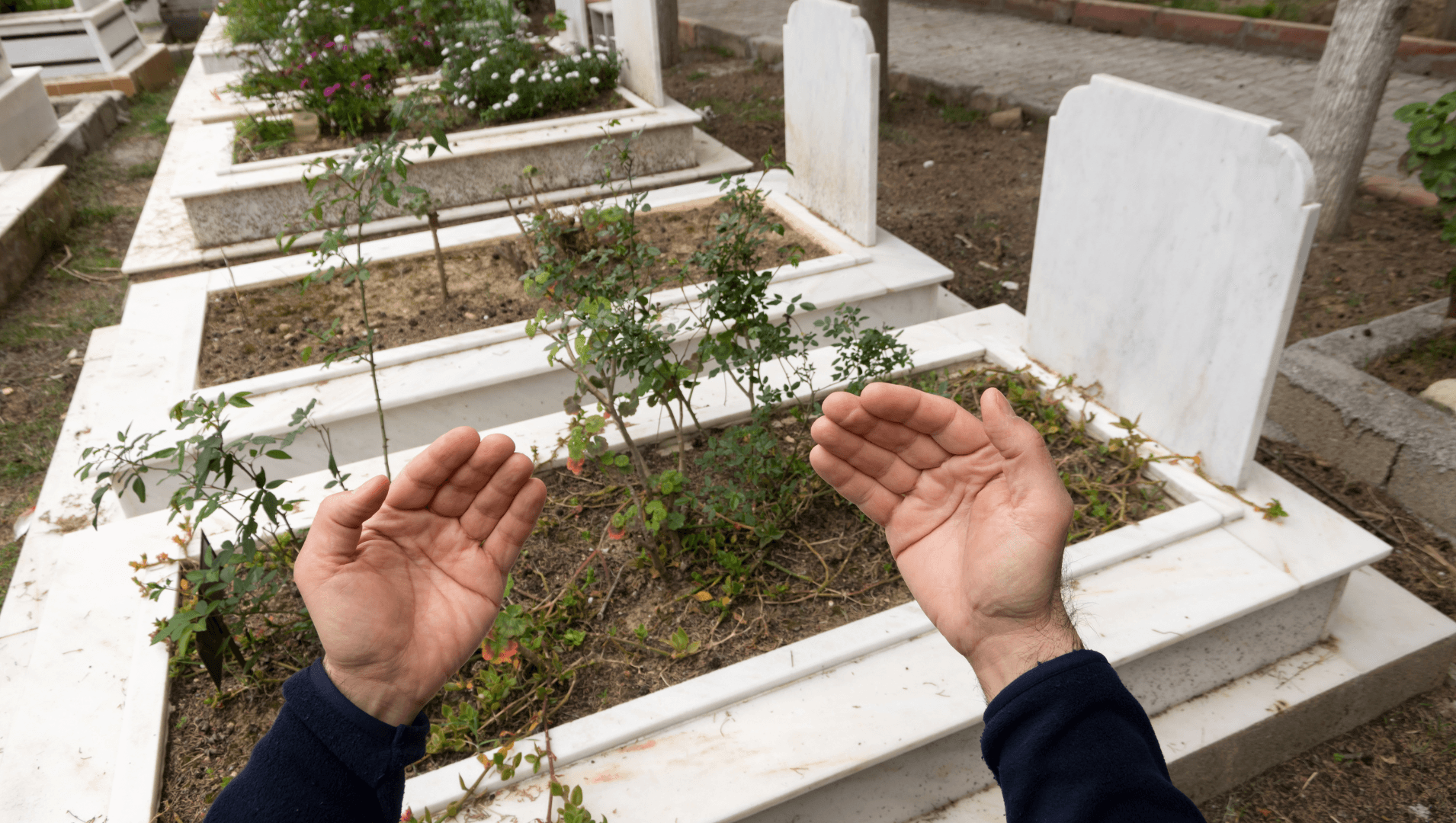 Thumbnail for বিশ্বনবী সাঃ কবর জিয়ারতের যে দোয়া পড়তেন