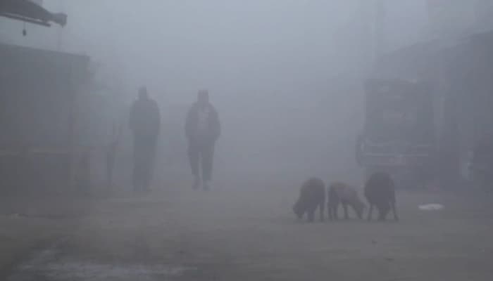 Thumbnail for জানুয়ারিতে পাঁচটি শৈত্যপ্রবাহের পূর্বাভাস