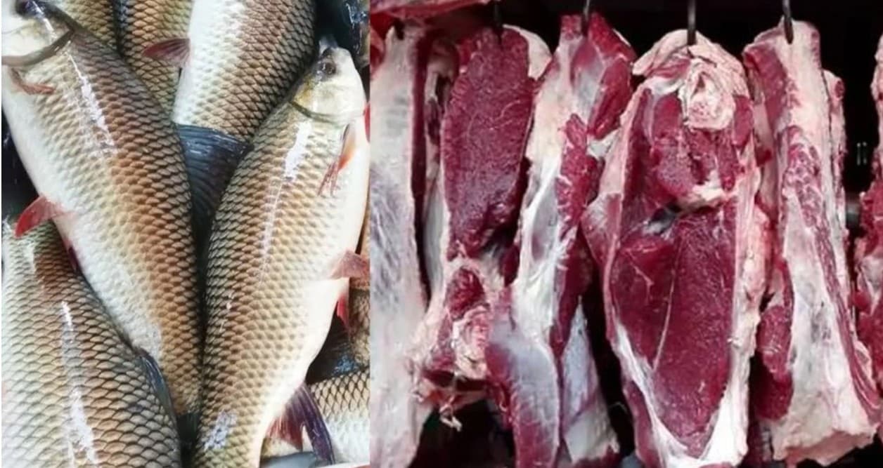 Thumbnail for বিহারে প্রকাশ্যে আমিষ বিক্রি নিষিদ্ধ